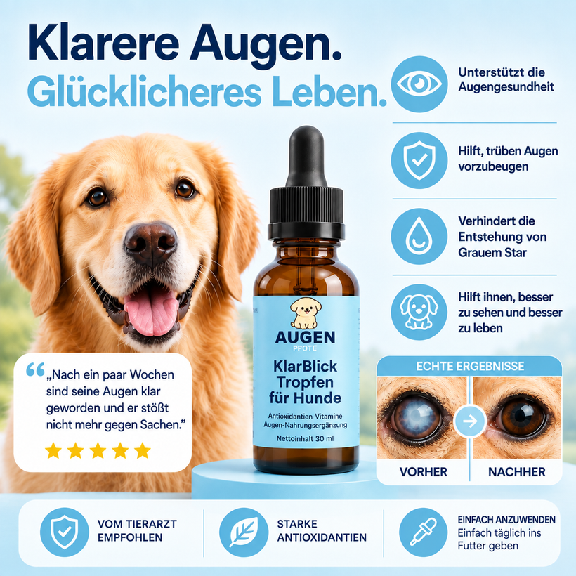 KlarBlick™ Futter-Tropfen – tägliche Augenunterstützung für Hunde