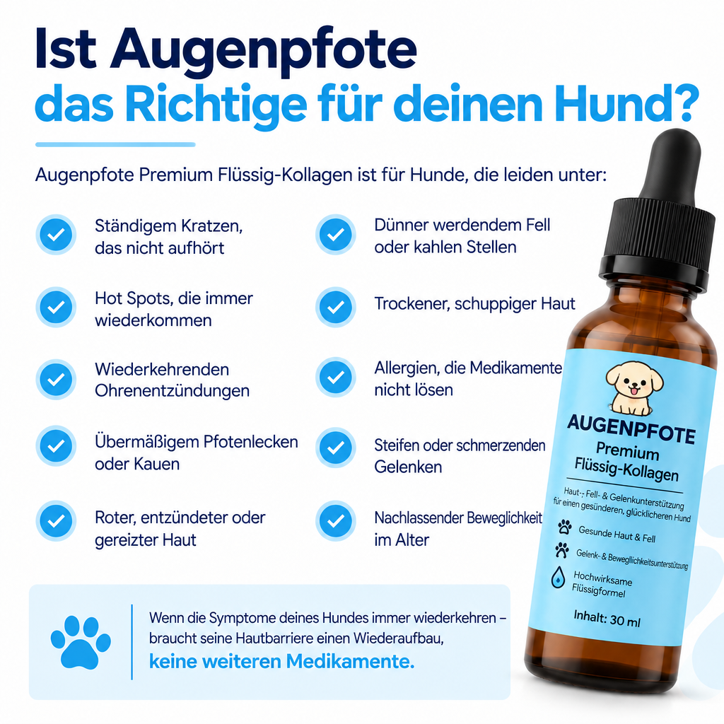 Ist Augenpfote das Richtige für deinen Hund?