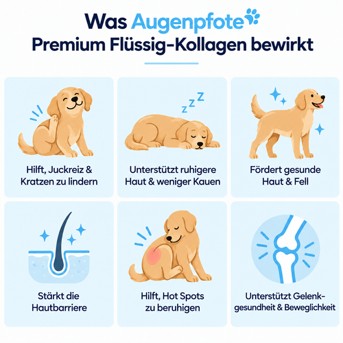 Was Augenpfote Premium Flüssig-Kollagen bewirkt